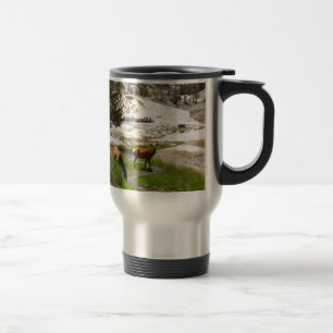 Elk at Mammoth Hot Springs Travel Mug
