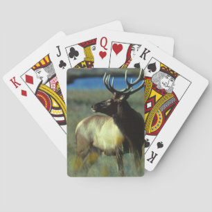 Elk Bicycle Playing Cards