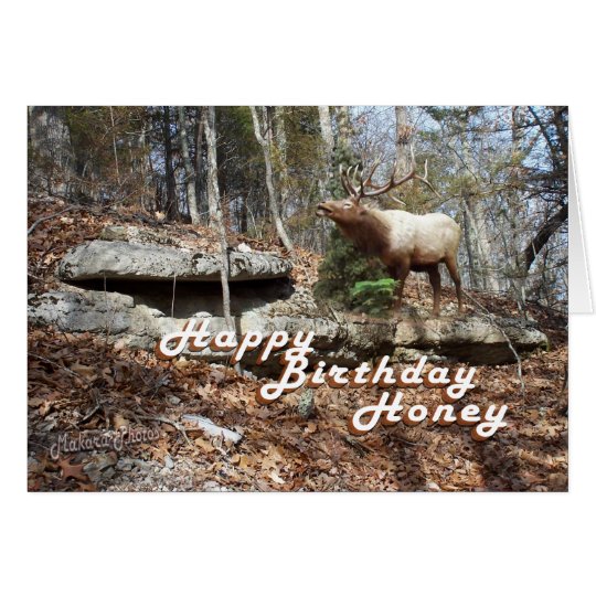 Elk Birthday card