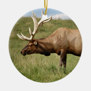 Elk Ceramic Tree Decoration