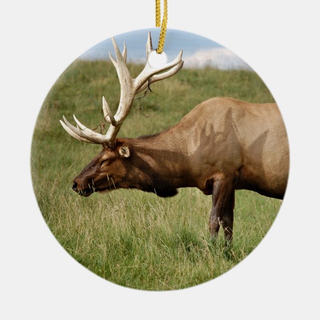 Elk Ceramic Tree Decoration (Front)