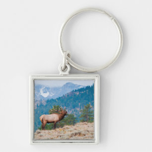 Elk (Cervus Elephus) Bull Bugling Key Ring