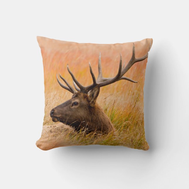 Elk (Cervus Elephus) Resting In Meadow Grass Cushion (Front)