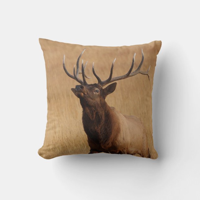 elk charging cushion (Front)