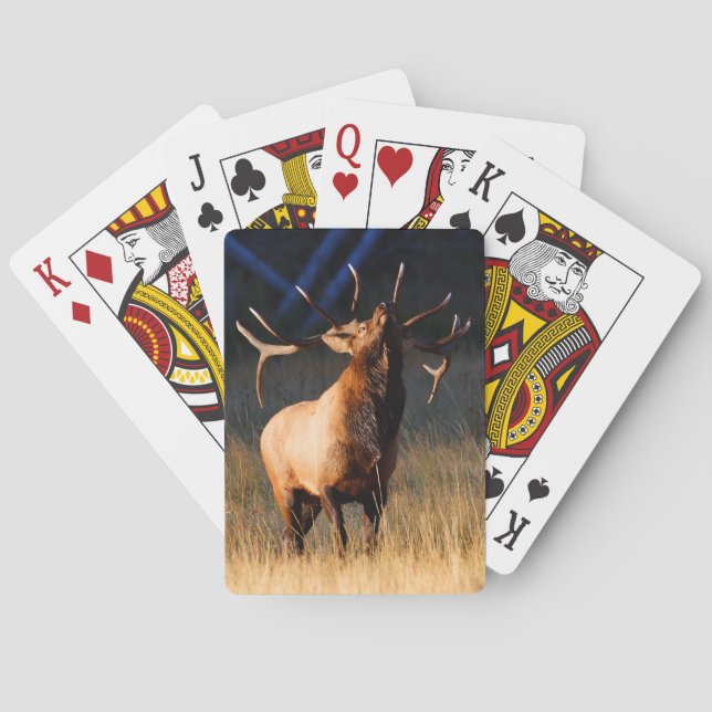 Elk Charging Playing Cards (Back)