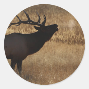 elk classic round sticker