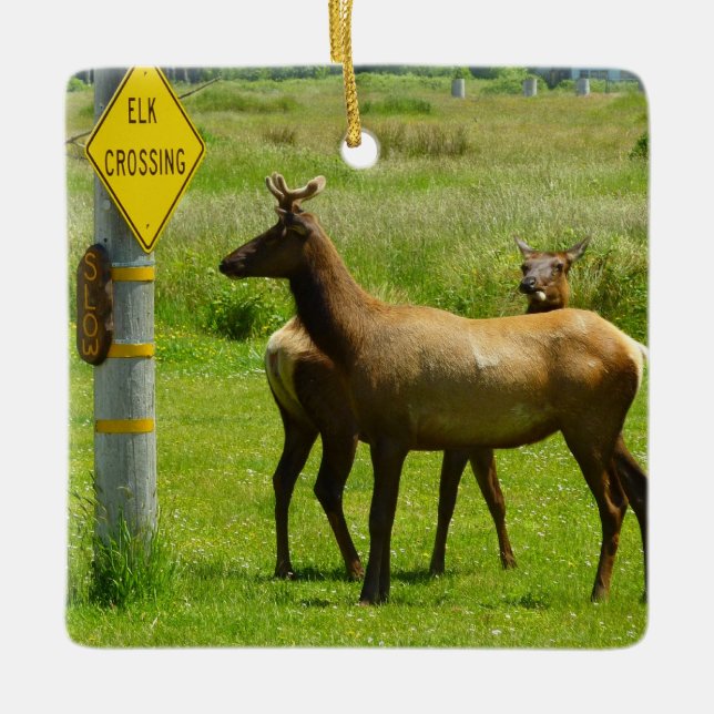Elk Crossing California Wildlife Ceramic Ornament (Front)