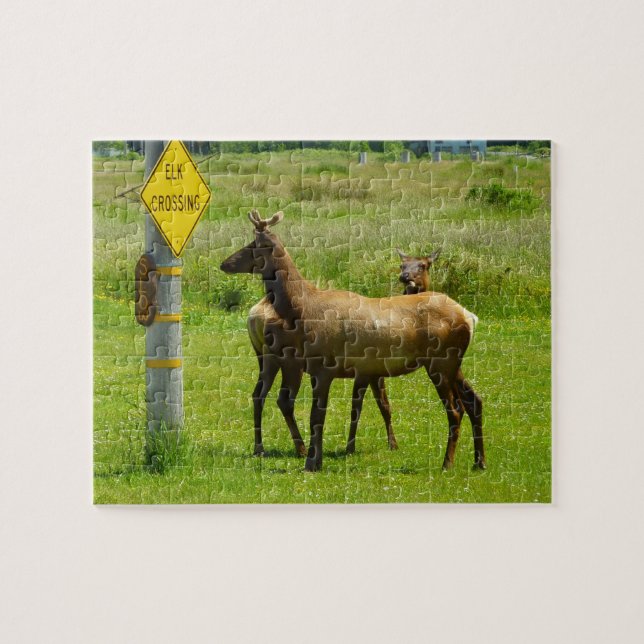 Elk Crossing California Wildlife Photography Jigsaw Puzzle (Horizontal)