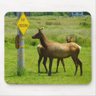 Elk Crossing California Wildlife Photography Mouse Mat