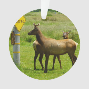 Elk Crossing California Wildlife Photography Ornament
