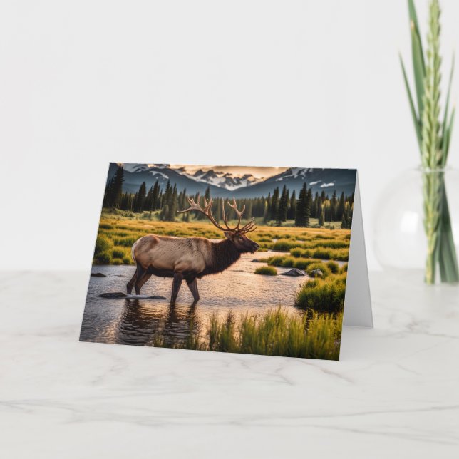 Elk Crossing the River Birthday Card (Front)