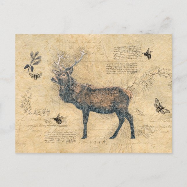 Elk Decoupage Vintage Ephemera  Postcard (Front)