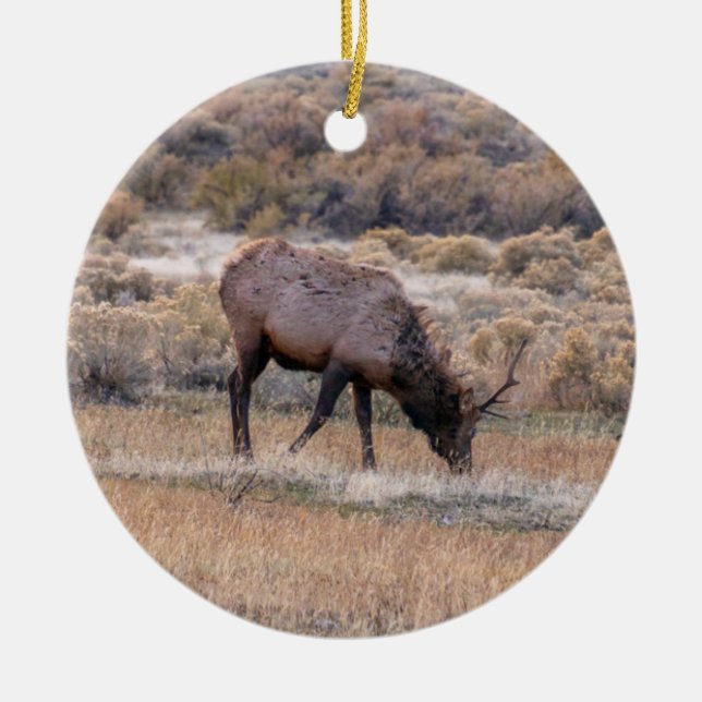 Elk Deer Ornament (Front)