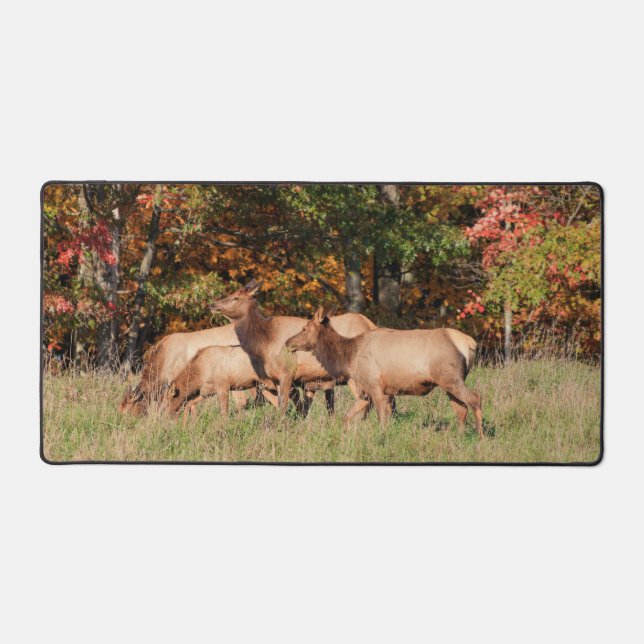 Elk Desk Mat (Front)