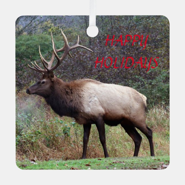 Elk Happy Holidays Ornament (Front)