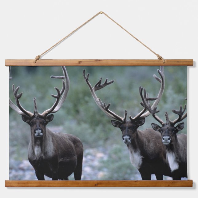 Elk Herd | Mt. Baring, Washington Hanging Tapestry (Front)