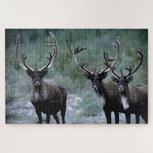 Elk Herd   Mt. Baring, Washington Jigsaw Puzzle