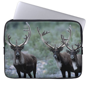Elk Herd Mt. Baring, Washington Laptop Sleeve