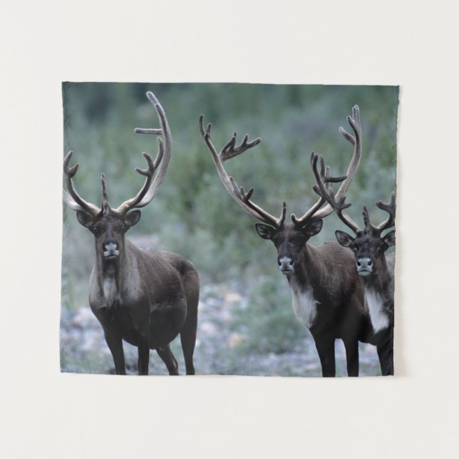 Elk Herd | Mt. Baring, Washington Tapestry (Front (Horizontal))