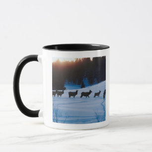 Elk herd walking through field mug