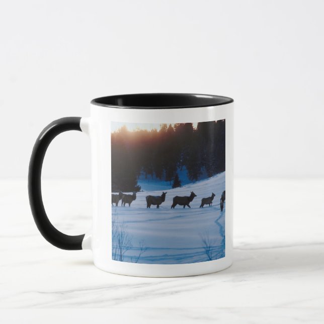 Elk herd walking through field mug (Left)