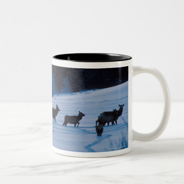 Elk herd walking through field Two-Tone coffee mug (Right)