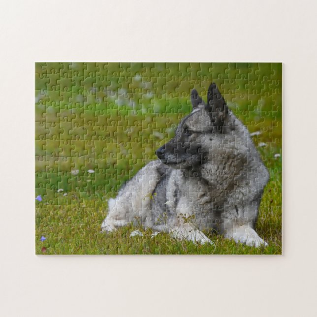 Elk Hound Dog. Jigsaw Puzzle (Horizontal)