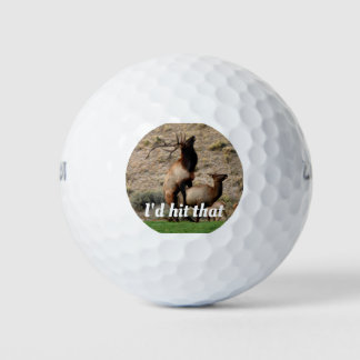 Elk hunter Gold balls I'd Hit that