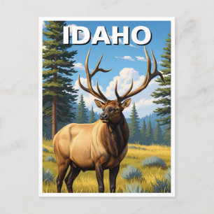 Elk in Idaho Postcard