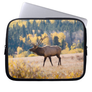Elk in Rocky Mountain National Park, Colorado Laptop Sleeve