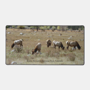 Elk in Rocky Mountain National Park desk mat