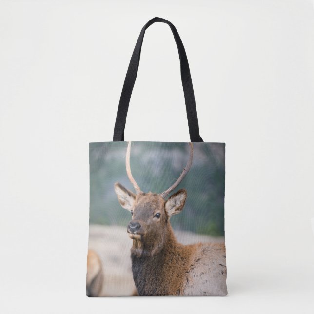 ELK IN ROCKY MOUNTAIN NATIONAL PARK - ELK HERDS GR TOTE BAG (Front)