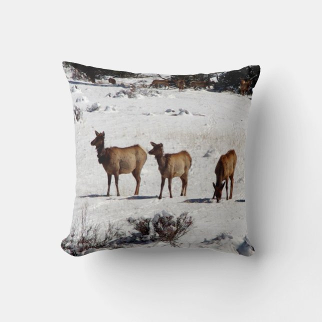 Elk in snow pillow (Front)