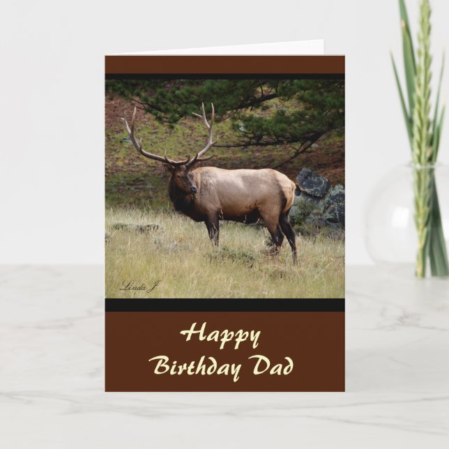 Elk in the Wild Card (Front)