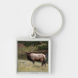 Elk in the Wild Key Ring