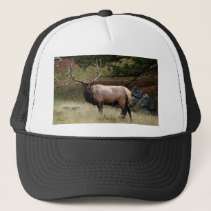 Elk in the Wild Trucker Hat
