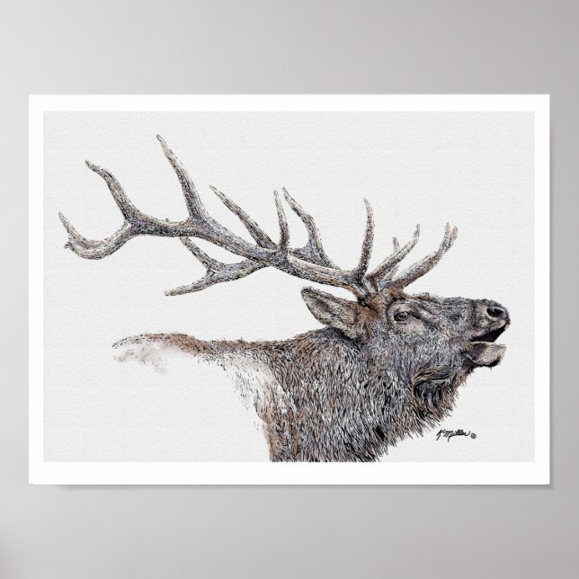 Elk Ink and Watercolor Poster (Front)