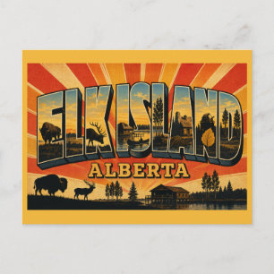 Elk Island National Park Alberta Bison Sanctuary Postcard