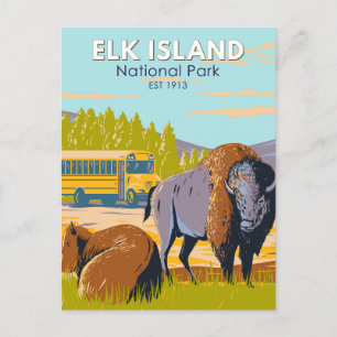 Elk Island National Park Canada Bison Vintage Postcard