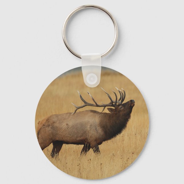elk key ring (Front)