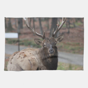 Elk Kitchen Towel