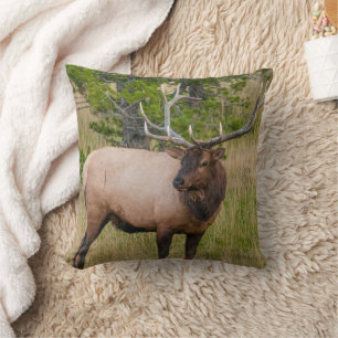 Elk Lake Village Yellowstone National Park Wyoming Cushion