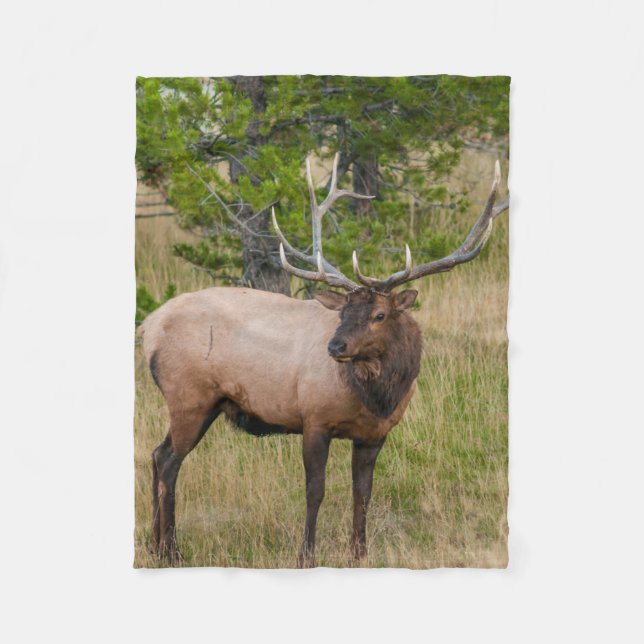 Elk Lake Village Yellowstone National Park Wyoming Fleece Blanket (Front)