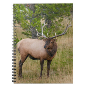 Elk Lake Village Yellowstone National Park Wyoming Notebook
