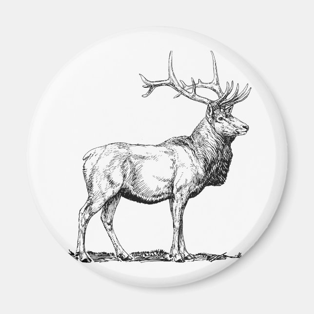 Elk Magnet (Front)
