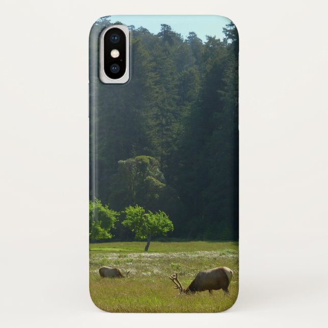 Elk Meadow at Redwood National Park Case-Mate iPhone Case (Back)