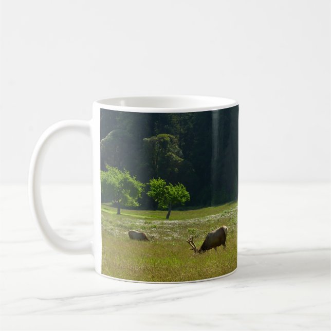 Elk Meadow at Redwood National Park Coffee Mug (Left)