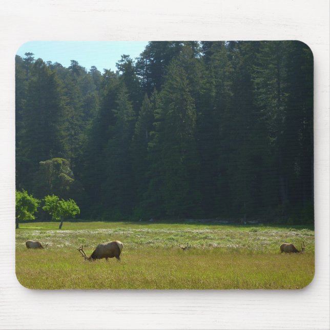 Elk Meadow at Redwood National Park Mouse Mat (Front)