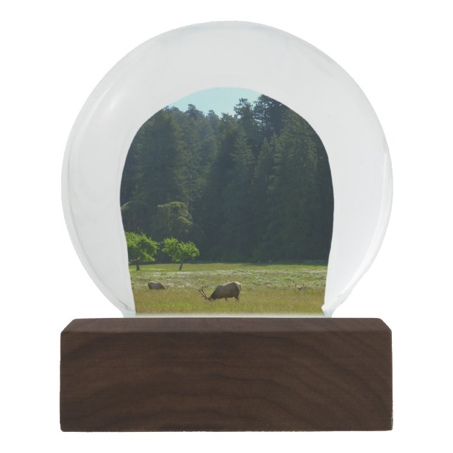 Elk Meadow at Redwood National Park Snow Globe (Front)