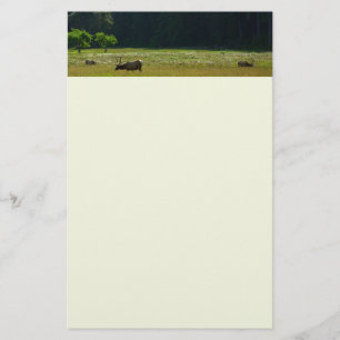 Elk Meadow at Redwood National Park Stationery